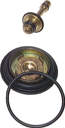 Ersatzmembrane Baureihe Mini (DR 021)