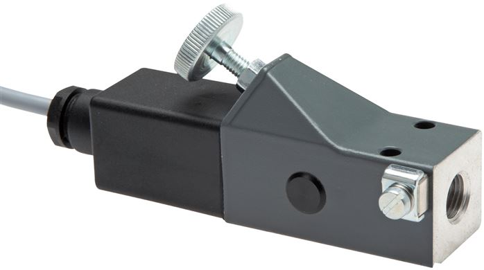 ATEX-Druckschalter 1 - 6 bar (Wechsler), G 1/4" (IG)