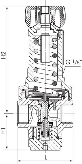 Druckregler, 1.4408, G 1/2", 0,5 - 15bar (Standard)
