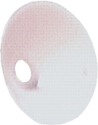 Schutzschild für Kurzdüse für Blaspistole, M 12 x 1,25 (AG)