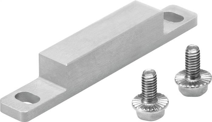 FESTO EAPM-L5-70-SLM (2417032) Schaltfahne