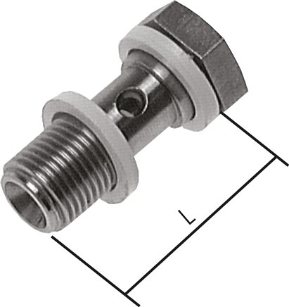 Hohlschraube, 1-fach G 1/4"-25mm, 1.4571