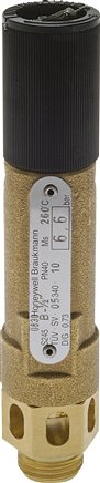 TÜV-Hochleistungssicherheitsventil G 1-1/4", 23,0 bar