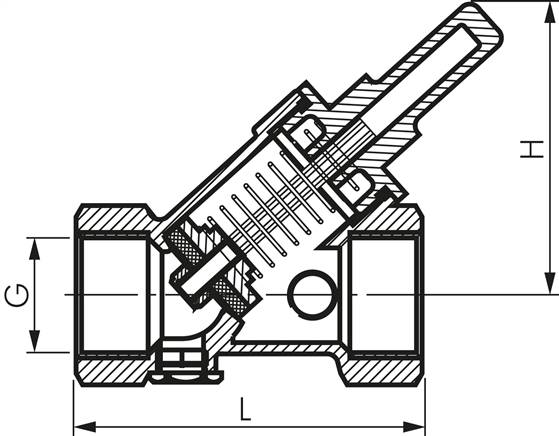 Schrägsitz-Rückschlagventil, Rp 2", PN 16 / FKM-Dichtung, Messing