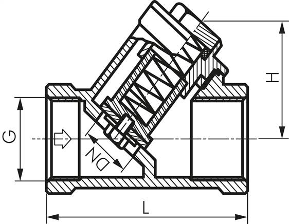 Schrägsitz-Rückschlagventil, G 1-1/4", PN 40, Edelstahl