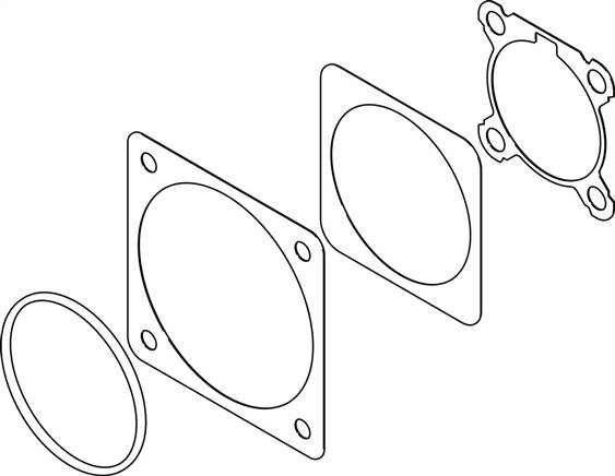 FESTO EADS-F-D50-60G/H (2733792) Dichtung-SET