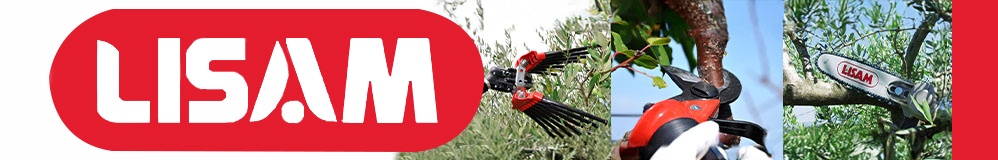 Lisam Druckluftwerkzeug Olivenernte