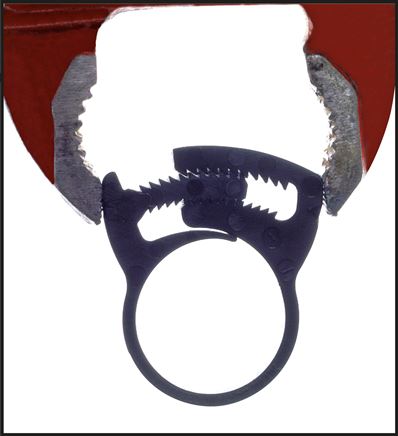 Schnapp-Schlauchschelle, Nylon, 9 - 10mm