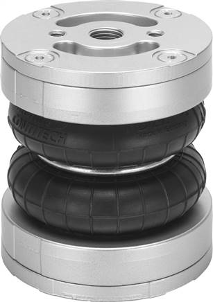 FESTO EB-80-45 (2748904) Balgzylinder