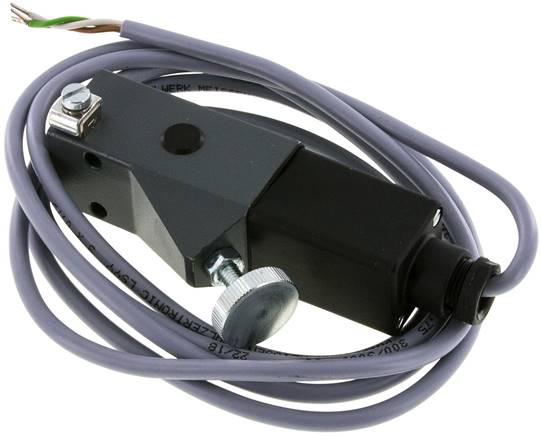ATEX-Druckschalter 100 - 400 bar (Wechsler), G 1/4" (IG)
