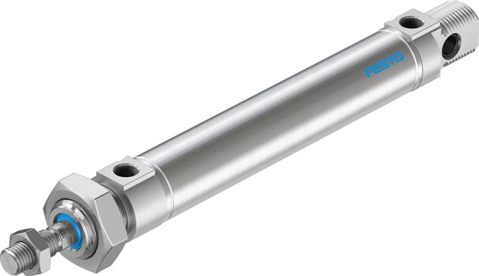 FESTO DSNU-25-100-PPV-A (19248) Normzylinder