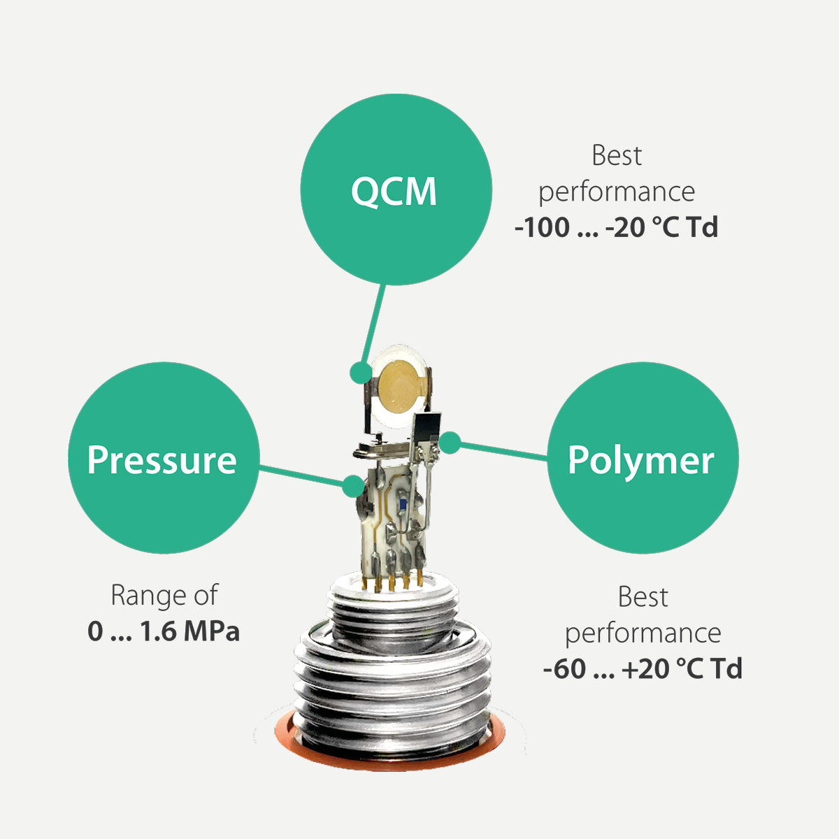 S220 Taupunktsensor für Druckluft und Gase, -100…+20 °C Td, 4-20 mA + Modbus/RTU, OLED-Display