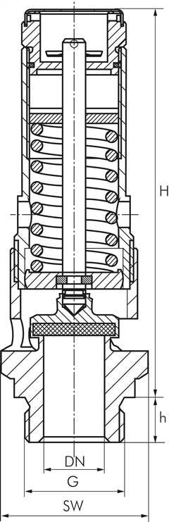 TÜV-Hochleist.-Sicherheitsventil G 3/4"(25bar) Messing